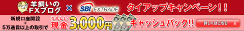 SBIFXトレード